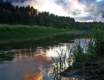 Охота и рыбалка в Беларуси