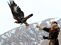 В Казахстане возрождают охоту с ловчими птицами