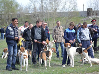 Киргизия: в Бишкеке пройдет республиканская выставка охотничьих собак