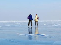 Украина: озера Херсонской области покрылись льдом