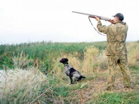 Украина: в Харьковской области создадут пять коммунальных охотничьих хозяйств