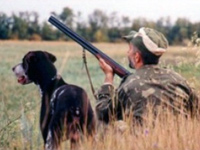 Украина: в Одесской области открылся сезон охоты на парнокопытных животных и пушных зверей